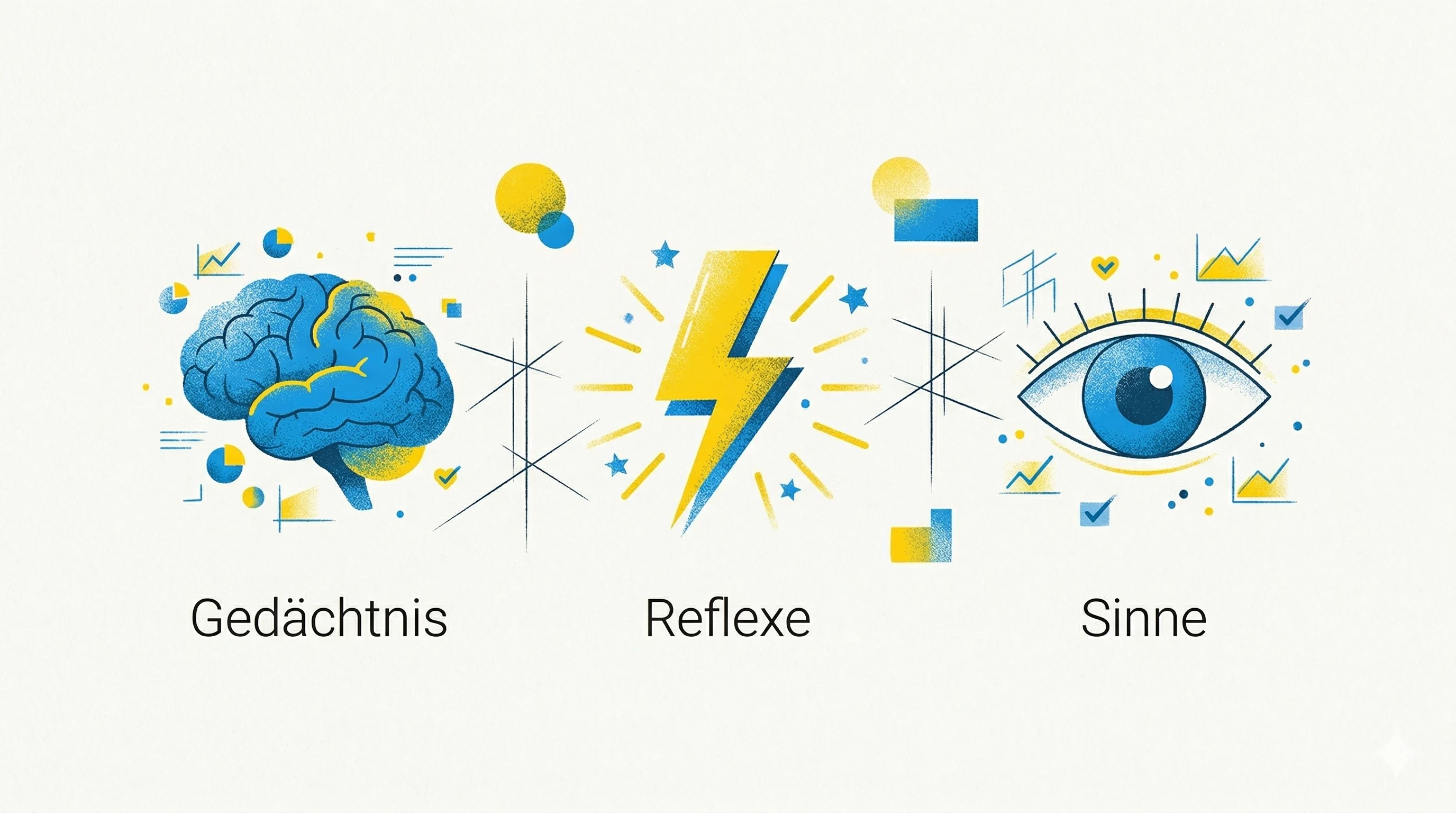 Die drei kognitiven Erweiterungen von Claude Code: Gedächtnis, Reflexe und Sinne